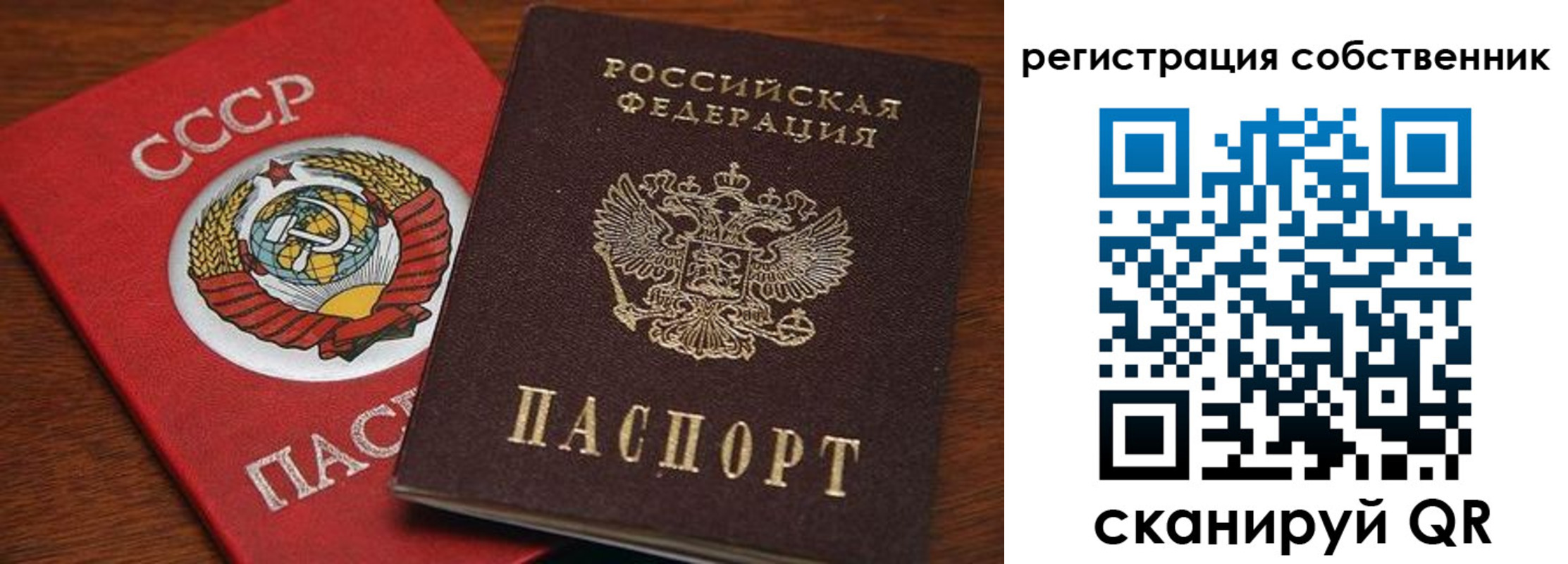 временная регистрация поиск в Холмске